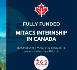 Mitacs Globalink Research Intership