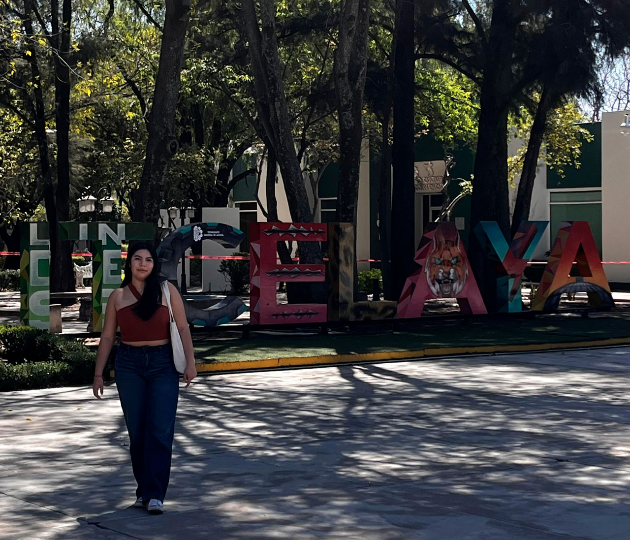 THE AMAZING SLIDESHOW ADDON!